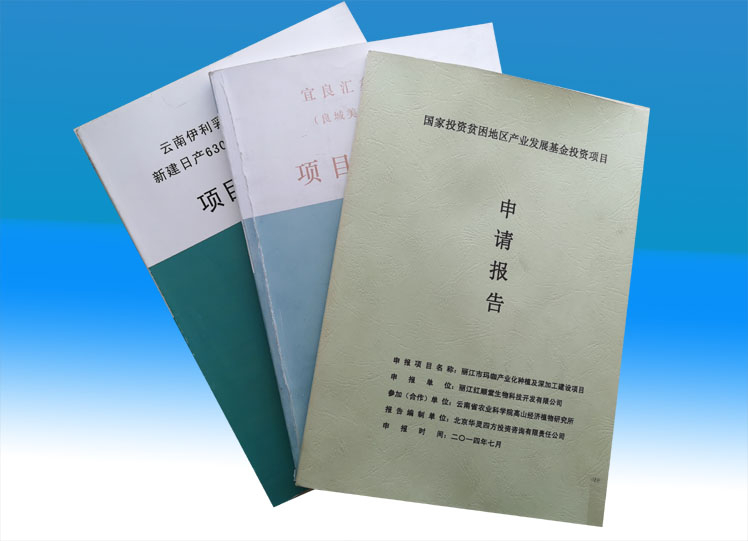 項(xiàng)目建議書