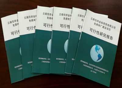 完成某紅磚廠年產(chǎn)X000萬塊頁巖燒結(jié)新型材料技改項(xiàng)目可行性研究報(bào)告